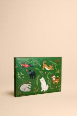 Adventskalender für Hunde